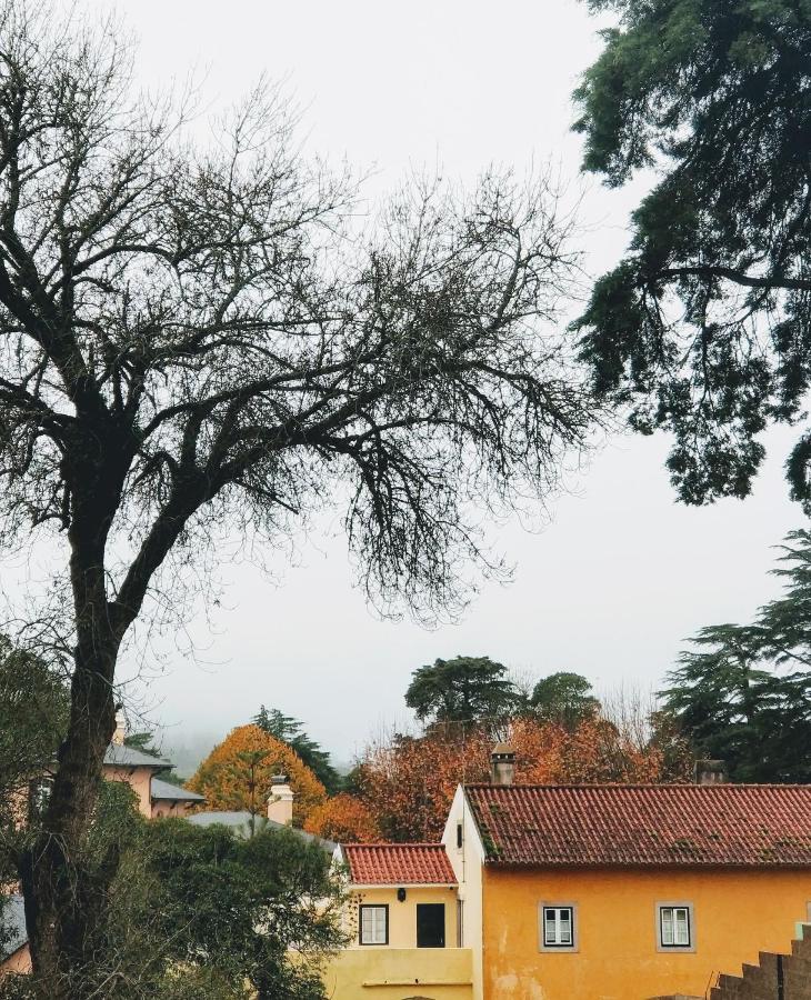 The Five House Hotel Sintra Eksteriør billede